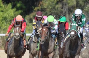 Tampa Bay Downs Kicks Off Its Historic 100th Anniversary Meet