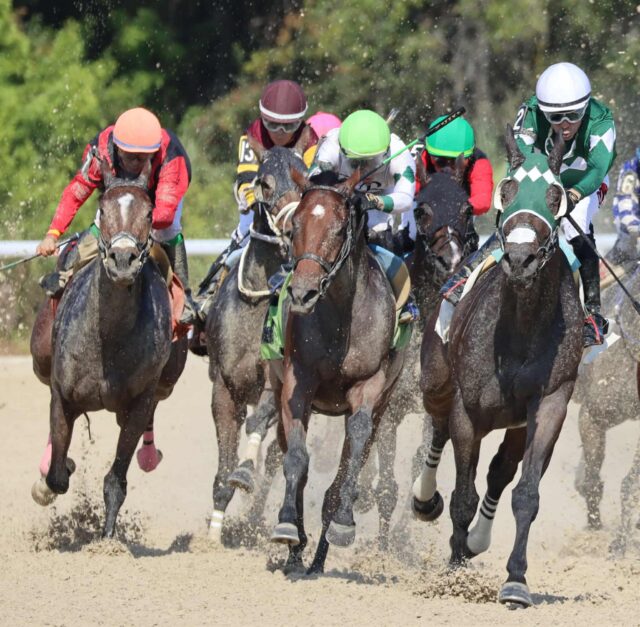 received_1133862532253780